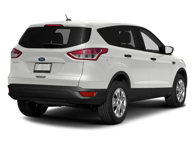 2014 Ford Escape Vehicle Photo in SELMA, TX 78154-1460