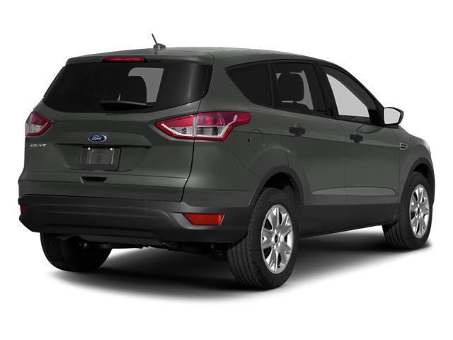 2014 Ford Escape Vehicle Photo in Oshkosh, WI 54904