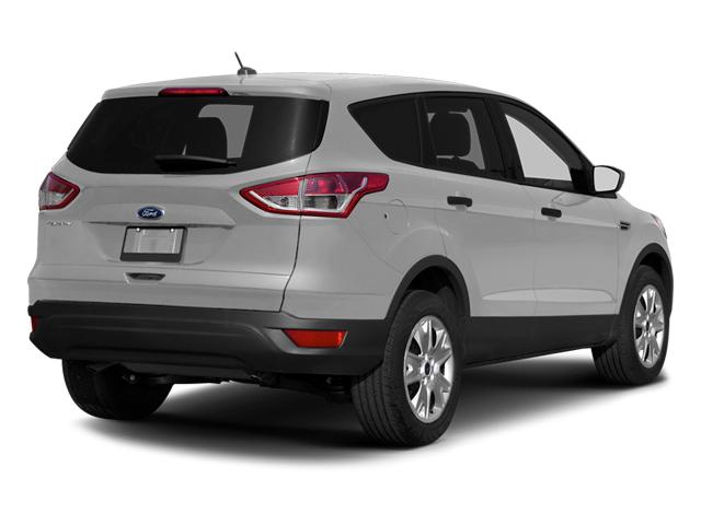 2014 Ford Escape Vehicle Photo in Jacksonville, FL 32256