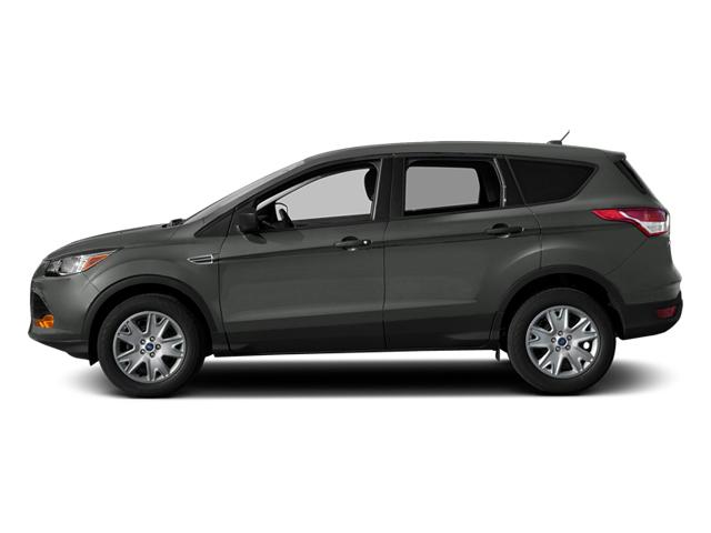 2014 Ford Escape Vehicle Photo in Oshkosh, WI 54904