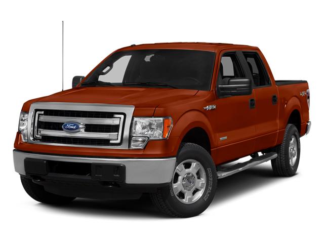 2014 Ford F-150 Vehicle Photo in St. Petersburg, FL 33713