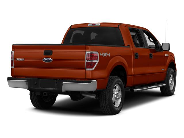 2014 Ford F-150 Vehicle Photo in St. Petersburg, FL 33713