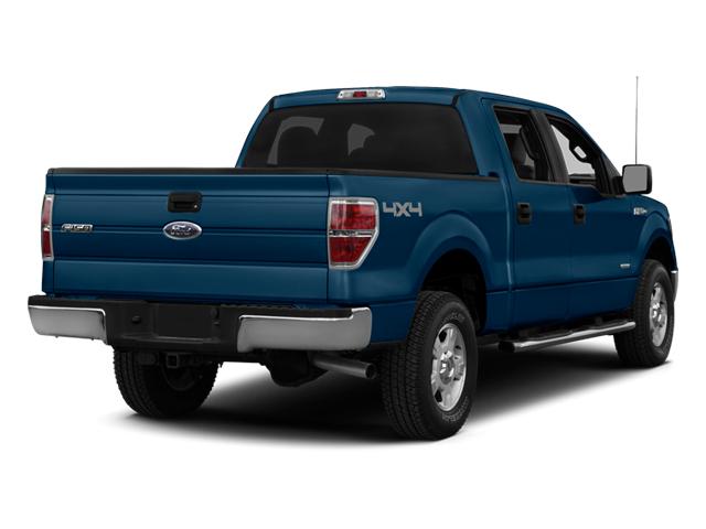 2014 Ford F-150 Vehicle Photo in CORPUS CHRISTI, TX 78412-4902