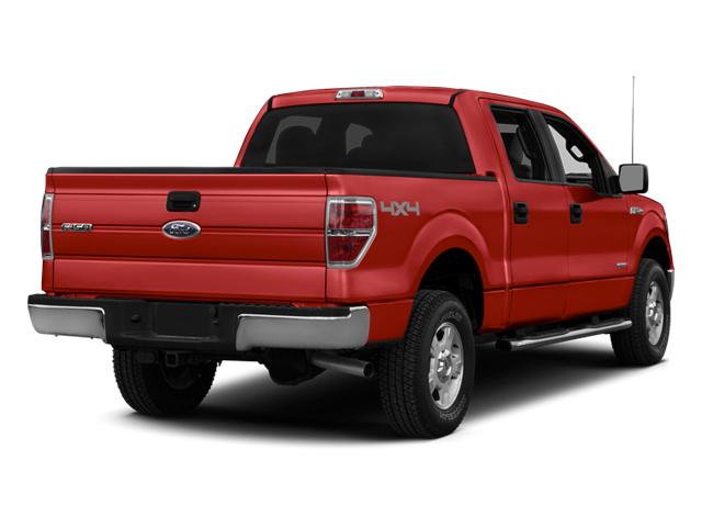 2014 Ford F-150 Vehicle Photo in Pinellas Park , FL 33781