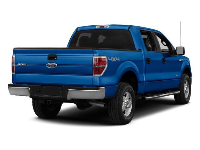 2014 Ford F-150 Vehicle Photo in Jacksonville, FL 32244