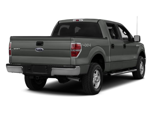 2014 Ford F-150 Vehicle Photo in Neenah, WI 54956