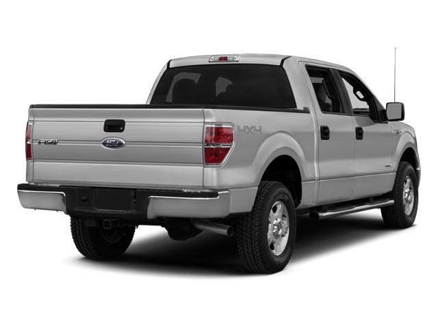 2014 Ford F-150 Vehicle Photo in Sanford, FL 32771