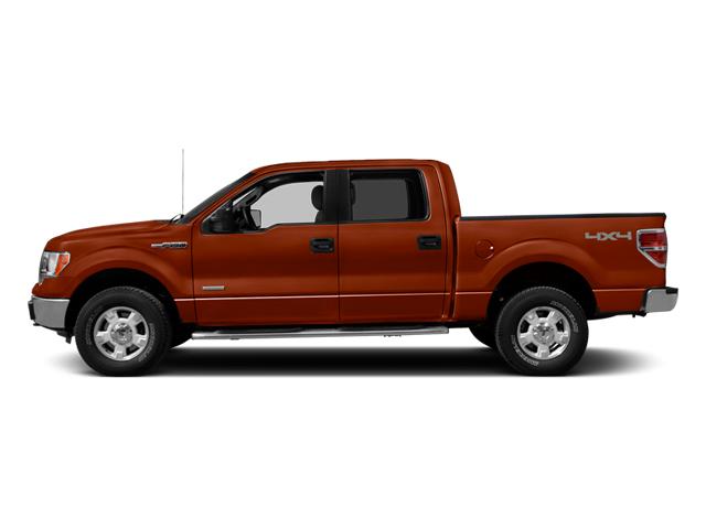 2014 Ford F-150 Vehicle Photo in St. Petersburg, FL 33713