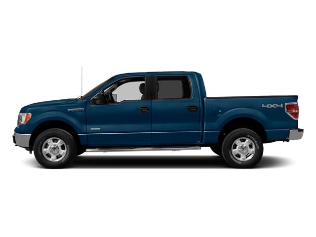 2014 Ford F-150 Vehicle Photo in MEDINA, OH 44256-9631