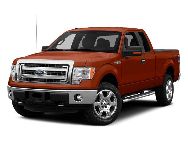 2014 Ford F-150 Vehicle Photo in Panama City, FL 32401