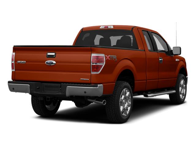 2014 Ford F-150 Vehicle Photo in Panama City, FL 32401