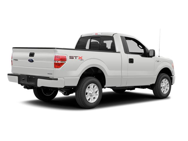 2014 Ford F-150 Vehicle Photo in Bradenton, FL 34207