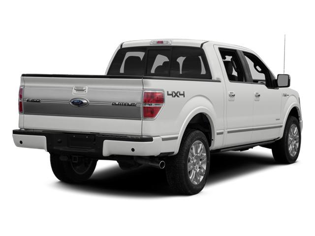 2014 Ford F-150 Vehicle Photo in Sanford, FL 32771