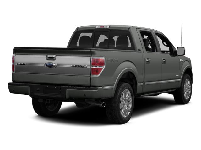 2014 Ford F-150 Vehicle Photo in DENTON, TX 76210-9321