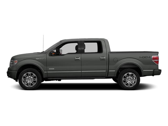 2014 Ford F-150 Vehicle Photo in DENTON, TX 76210-9321