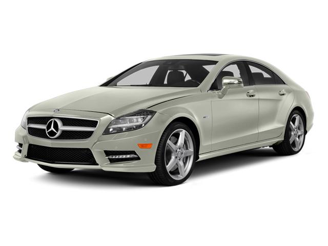 2014 Mercedes-Benz CLS-Class Vehicle Photo in Delray Beach, FL 33444