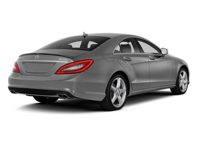 2014 Mercedes-Benz CLS-Class Vehicle Photo in ORLANDO, FL 32812-3021