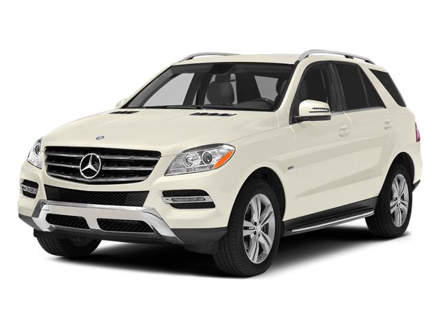 2014 Mercedes-Benz M-Class Vehicle Photo in Wesley Chapel, FL 33544