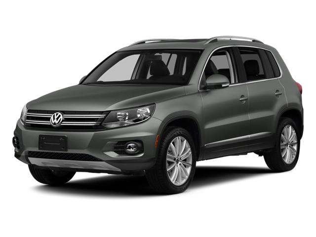 2014 Volkswagen Tiguan Vehicle Photo in GREEN BAY, WI 54303-3330