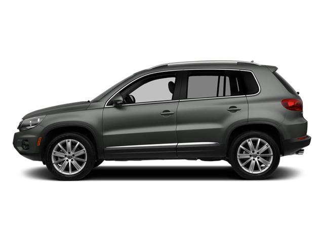 2014 Volkswagen Tiguan Vehicle Photo in GREEN BAY, WI 54303-3330