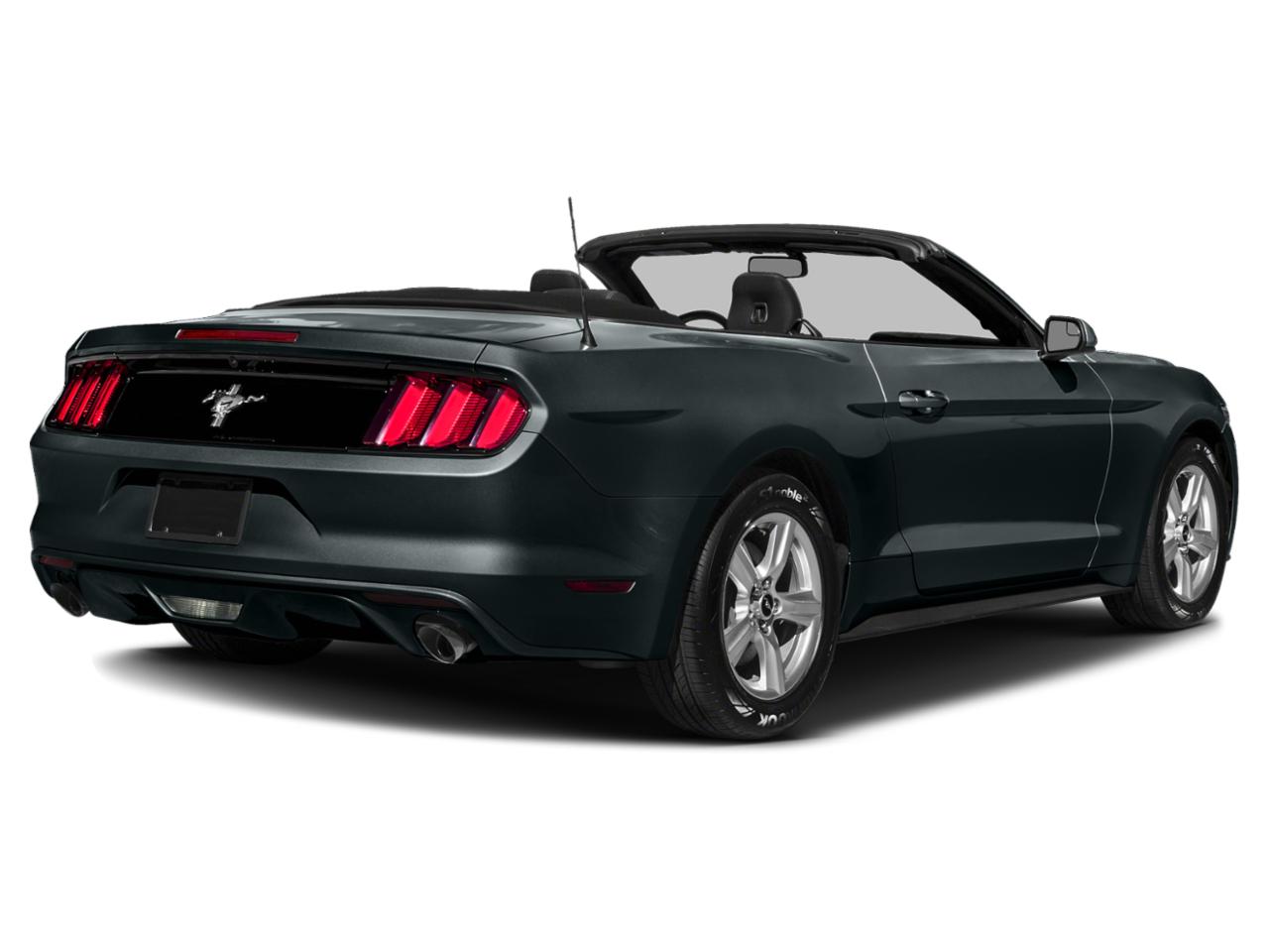 2015 Ford Mustang Vehicle Photo in Clearwater, FL 33764