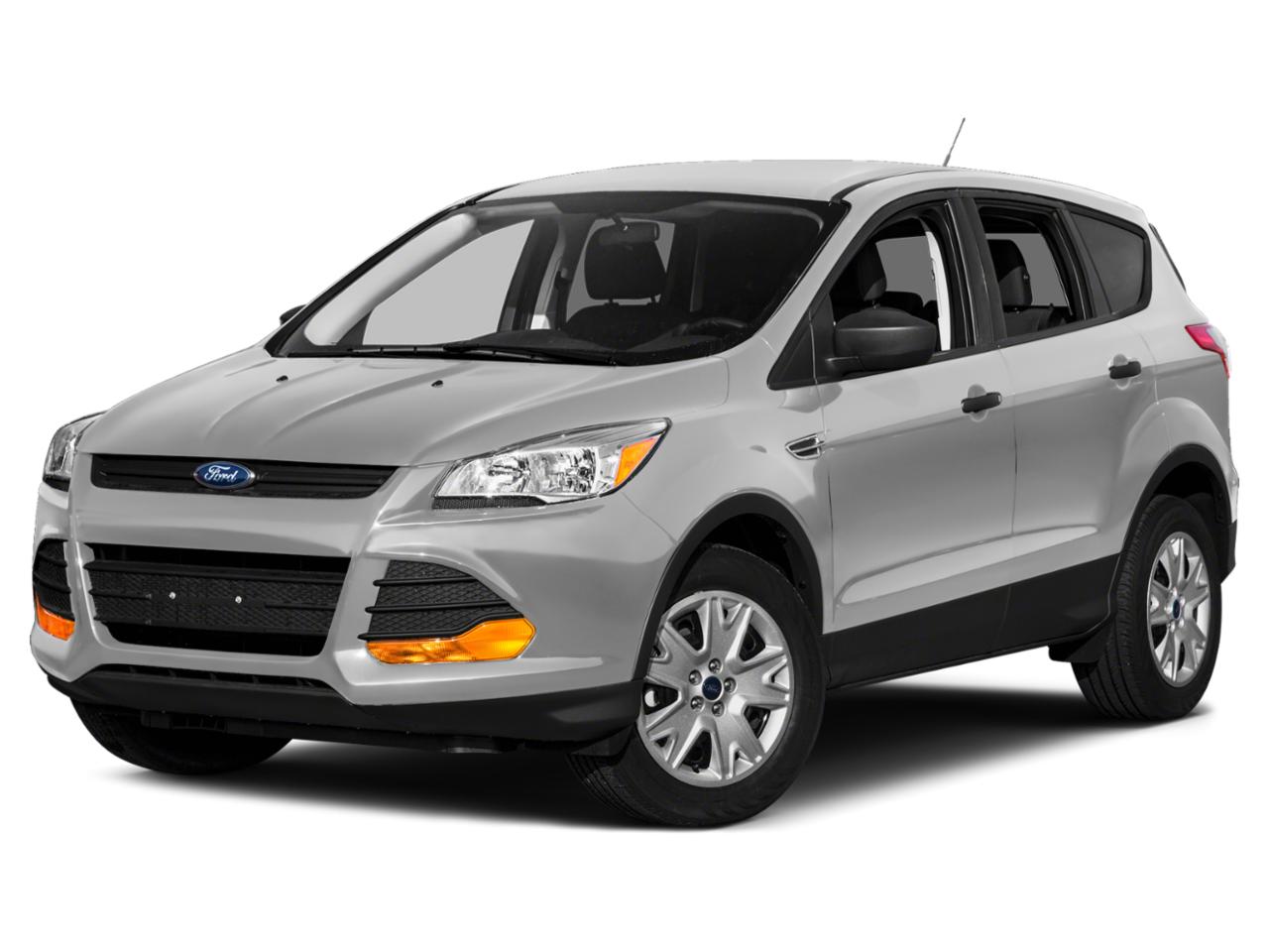 2015 Ford Escape Vehicle Photo in Jacksonville, FL 32244