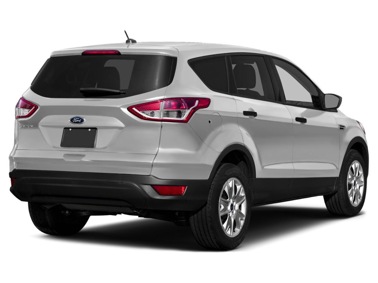 2015 Ford Escape Vehicle Photo in Jacksonville, FL 32244