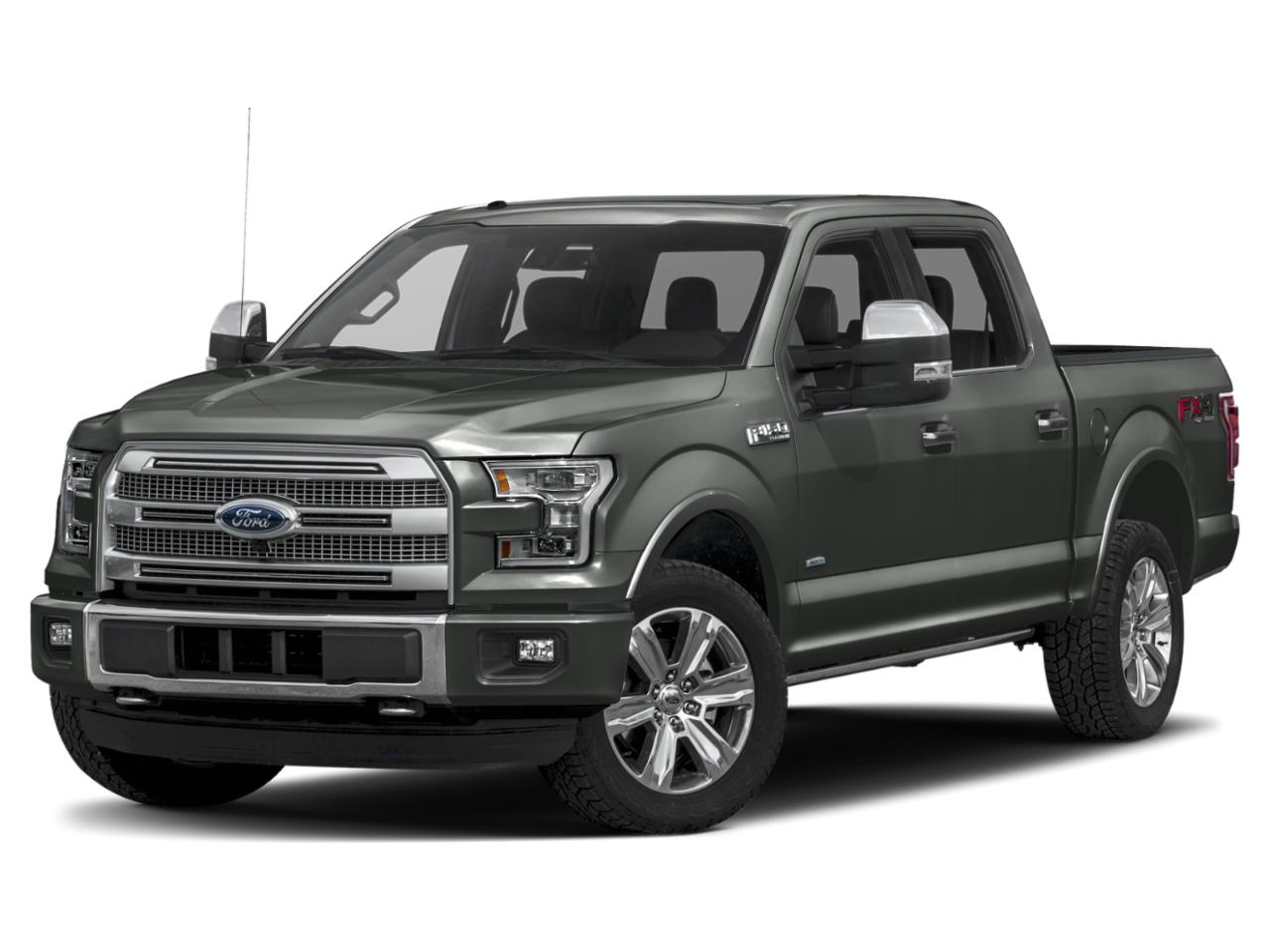 2015 Ford F-150 Vehicle Photo in Pinellas Park , FL 33781