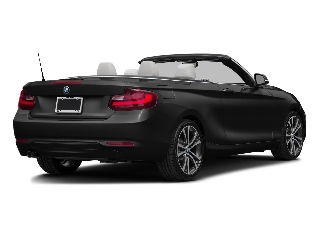 2017 BMW 230i Vehicle Photo in Pinellas Park , FL 33781