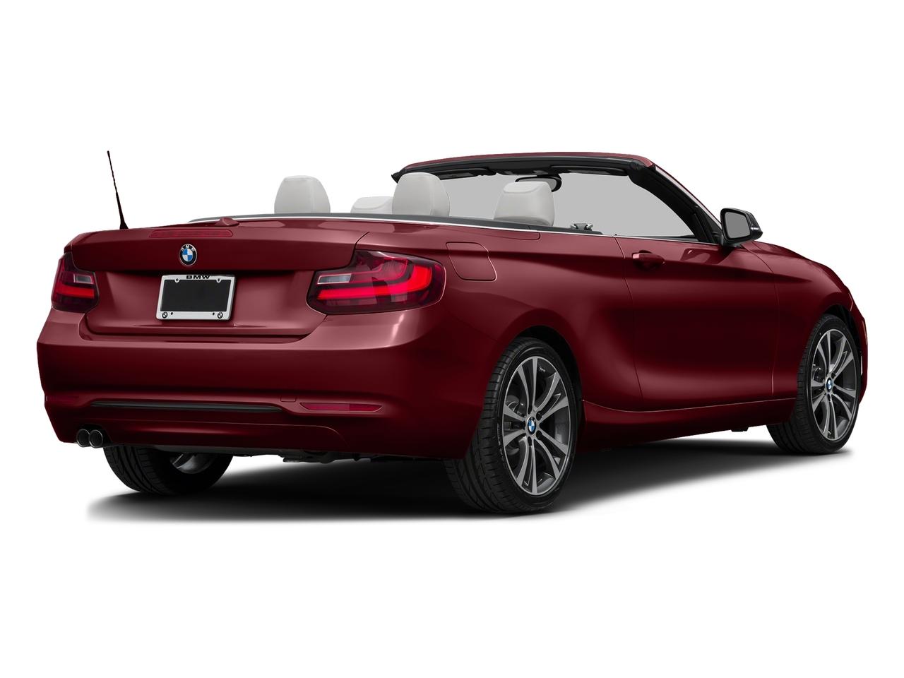 2017 BMW 2 Series Vehicle Photo in PEMBROKE PINES, FL 33024-6534