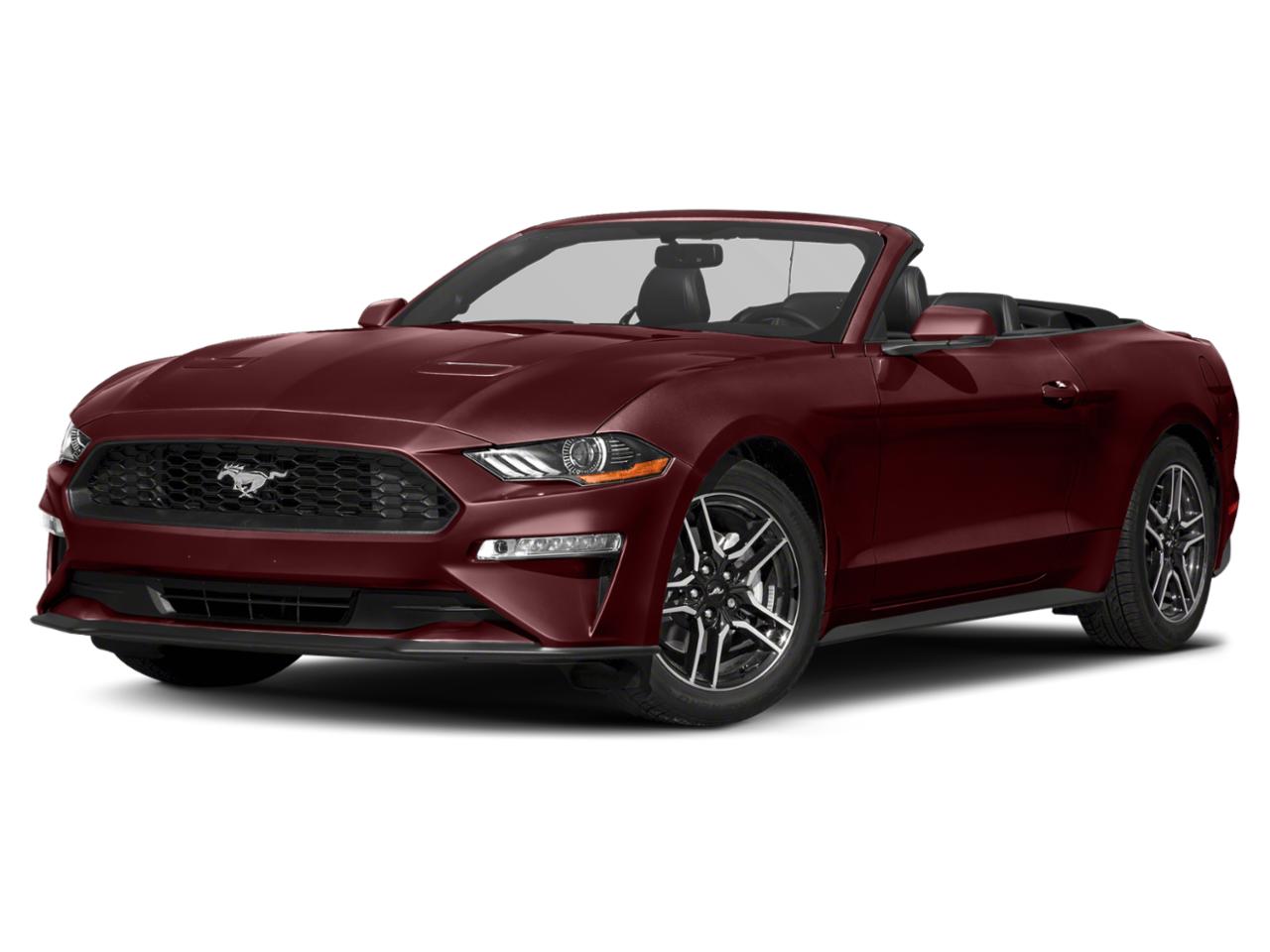 2018 Ford Mustang Vehicle Photo in St. Petersburg, FL 33713