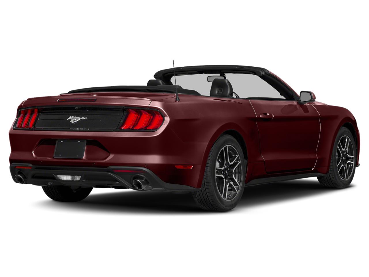 2018 Ford Mustang Vehicle Photo in St. Petersburg, FL 33713