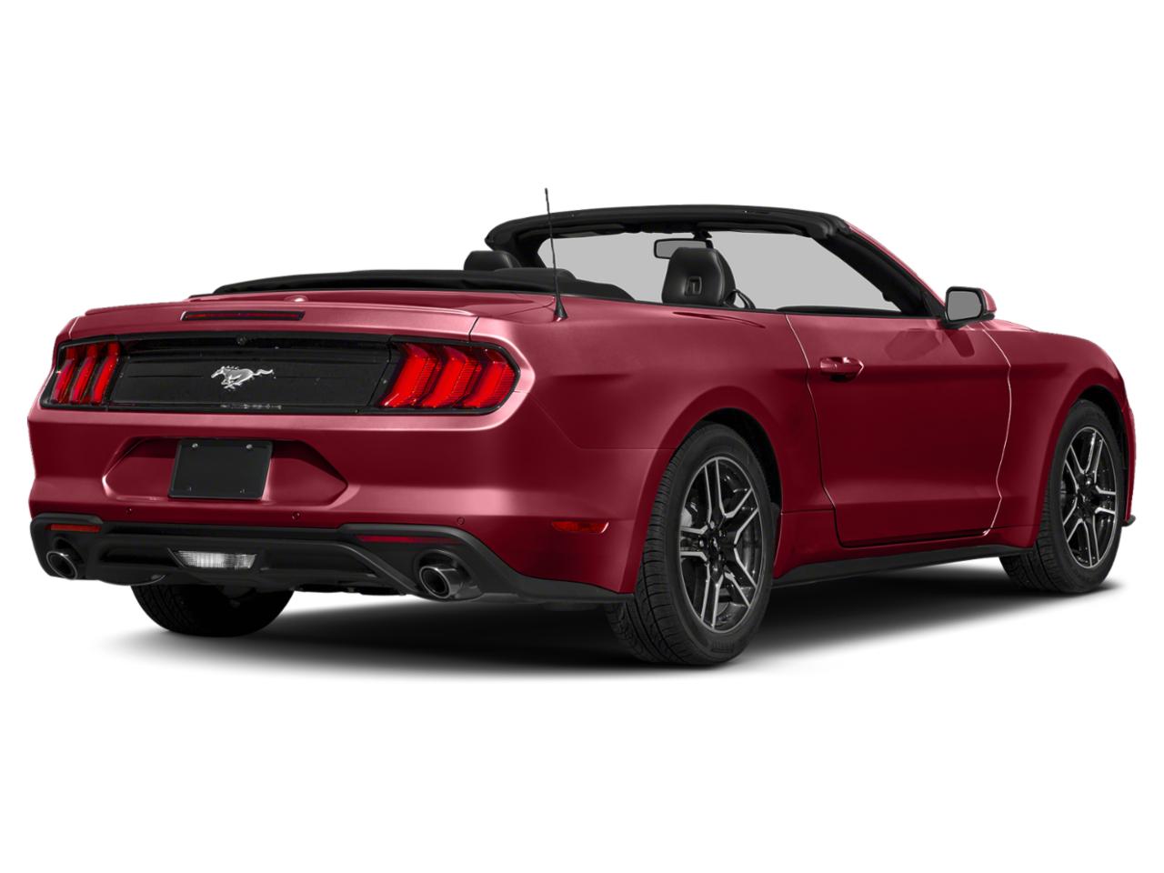 2018 Ford Mustang Vehicle Photo in Sarasota, FL 34231