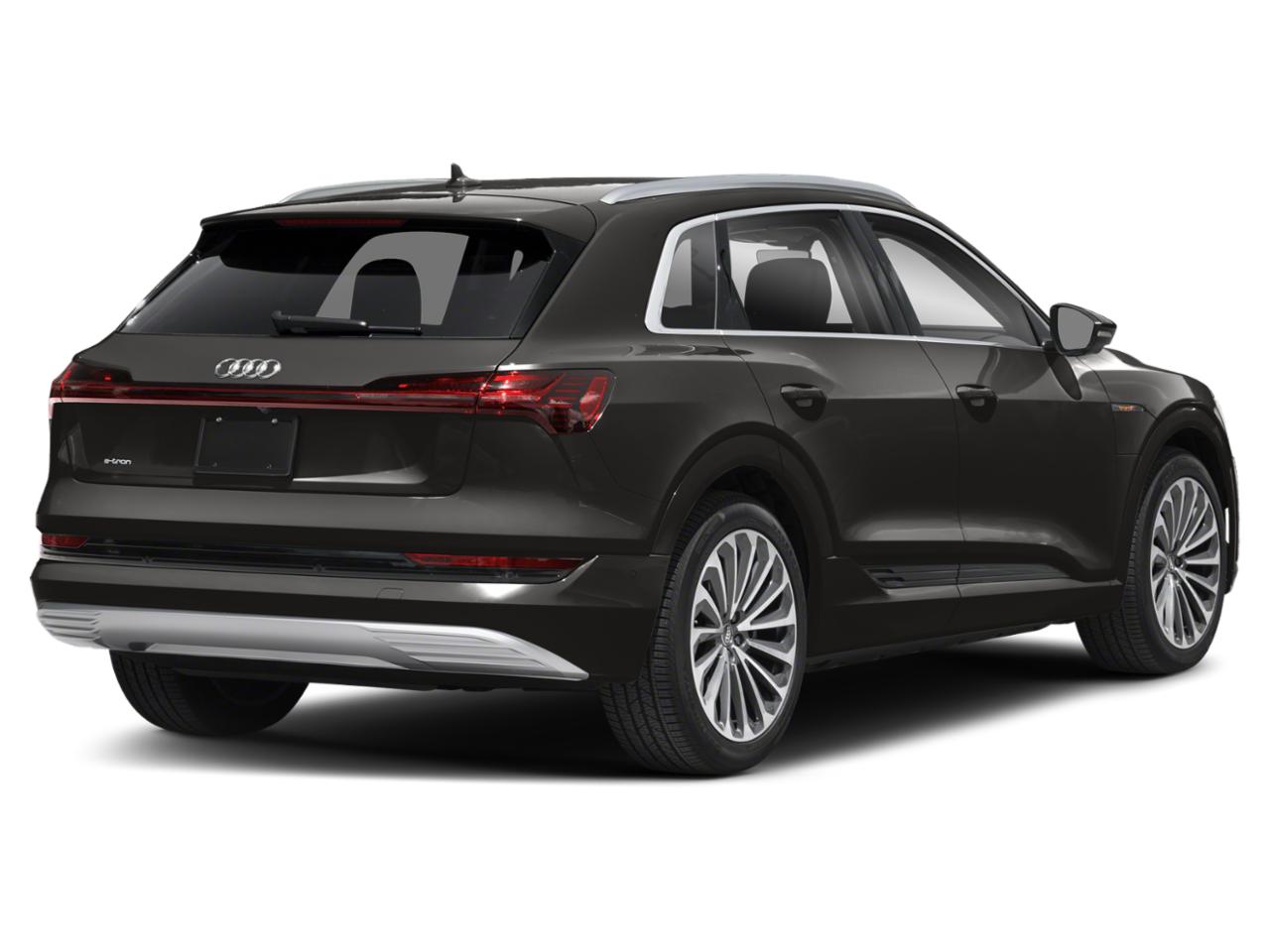 2019 Audi e-tron Vehicle Photo in Orlando, FL 32811