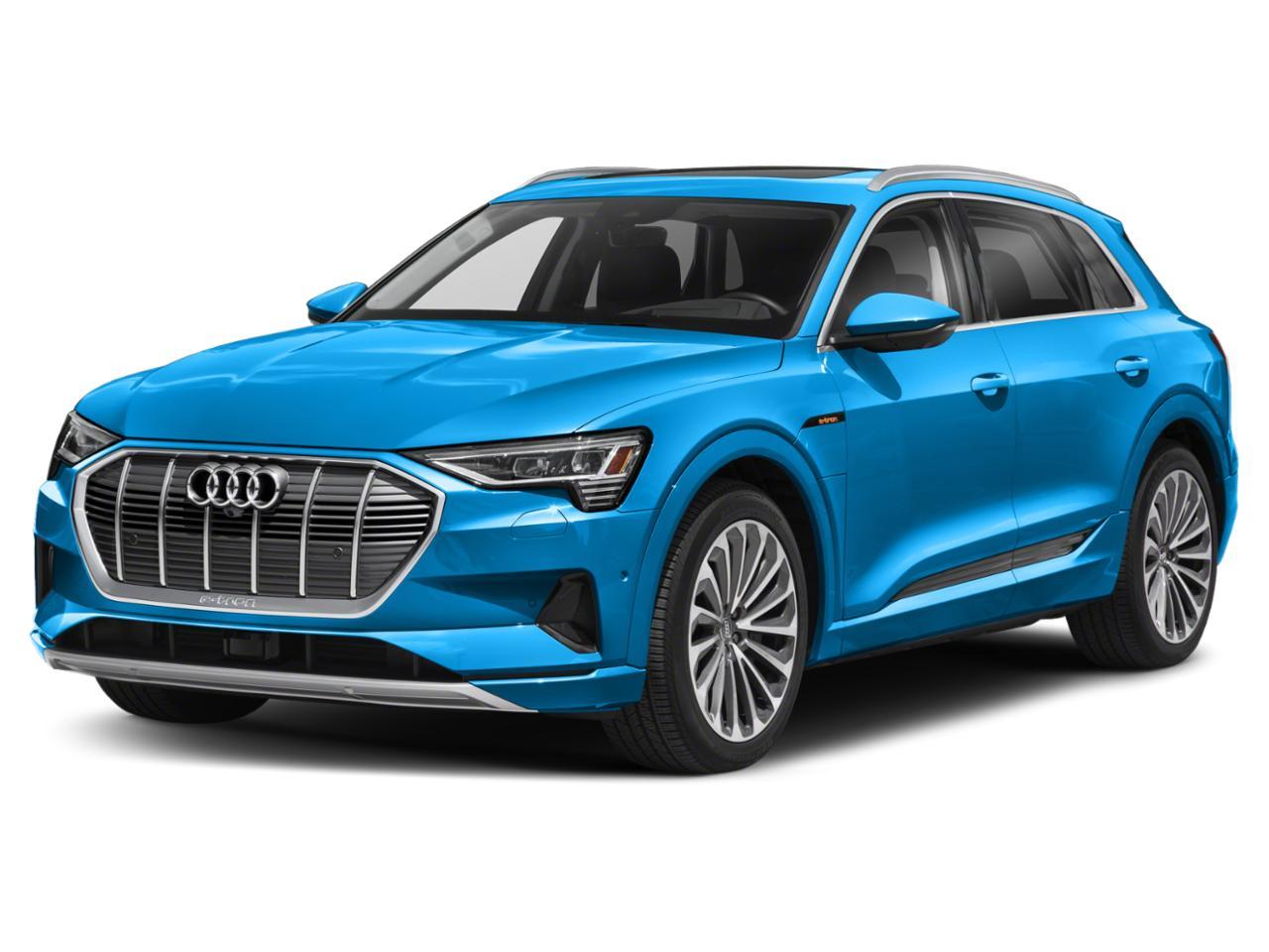 2019 Audi e-tron Vehicle Photo in WEST PALM BEACH, FL 33407-3296