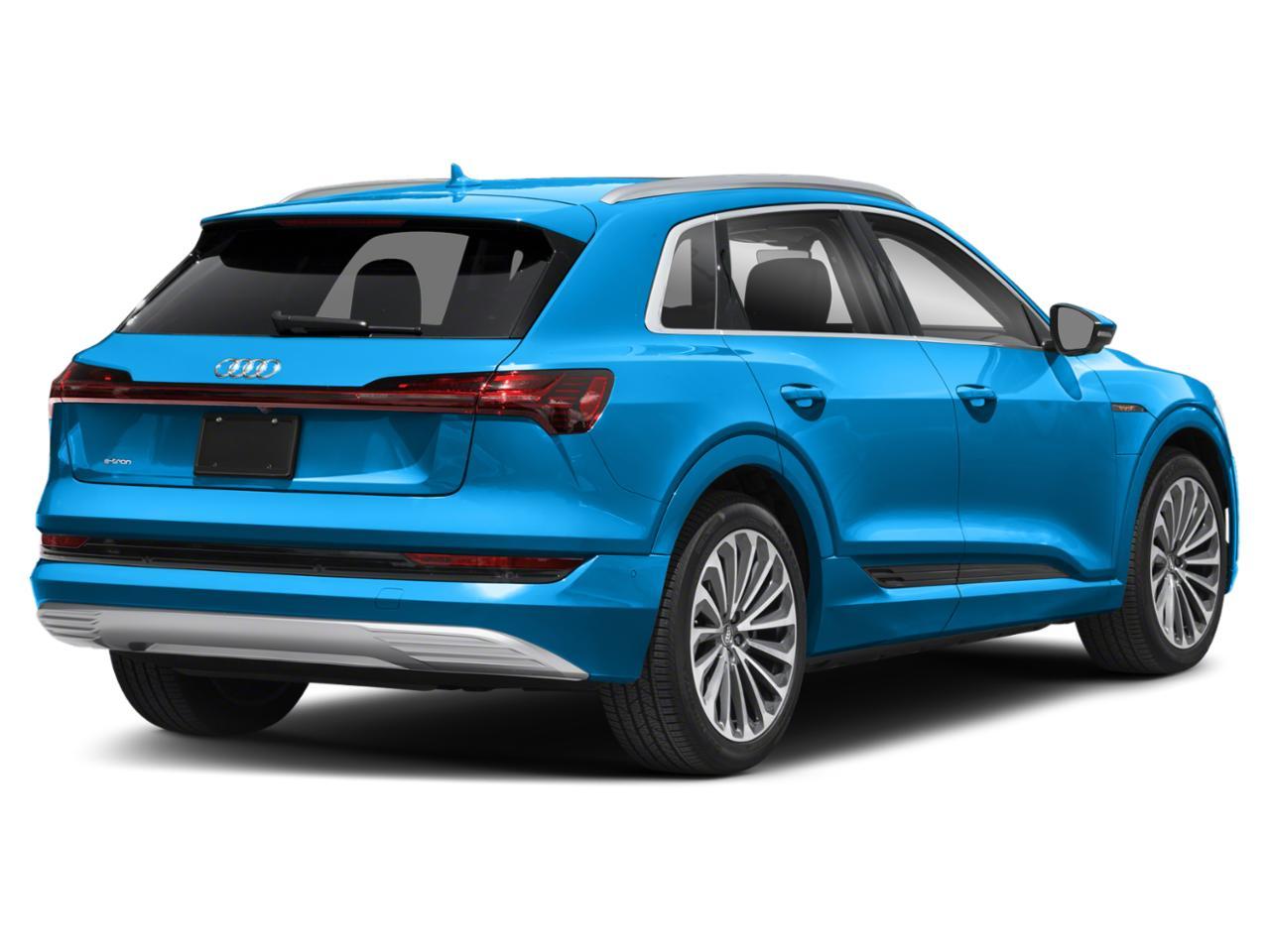 2019 Audi e-tron Vehicle Photo in WEST PALM BEACH, FL 33407-3296