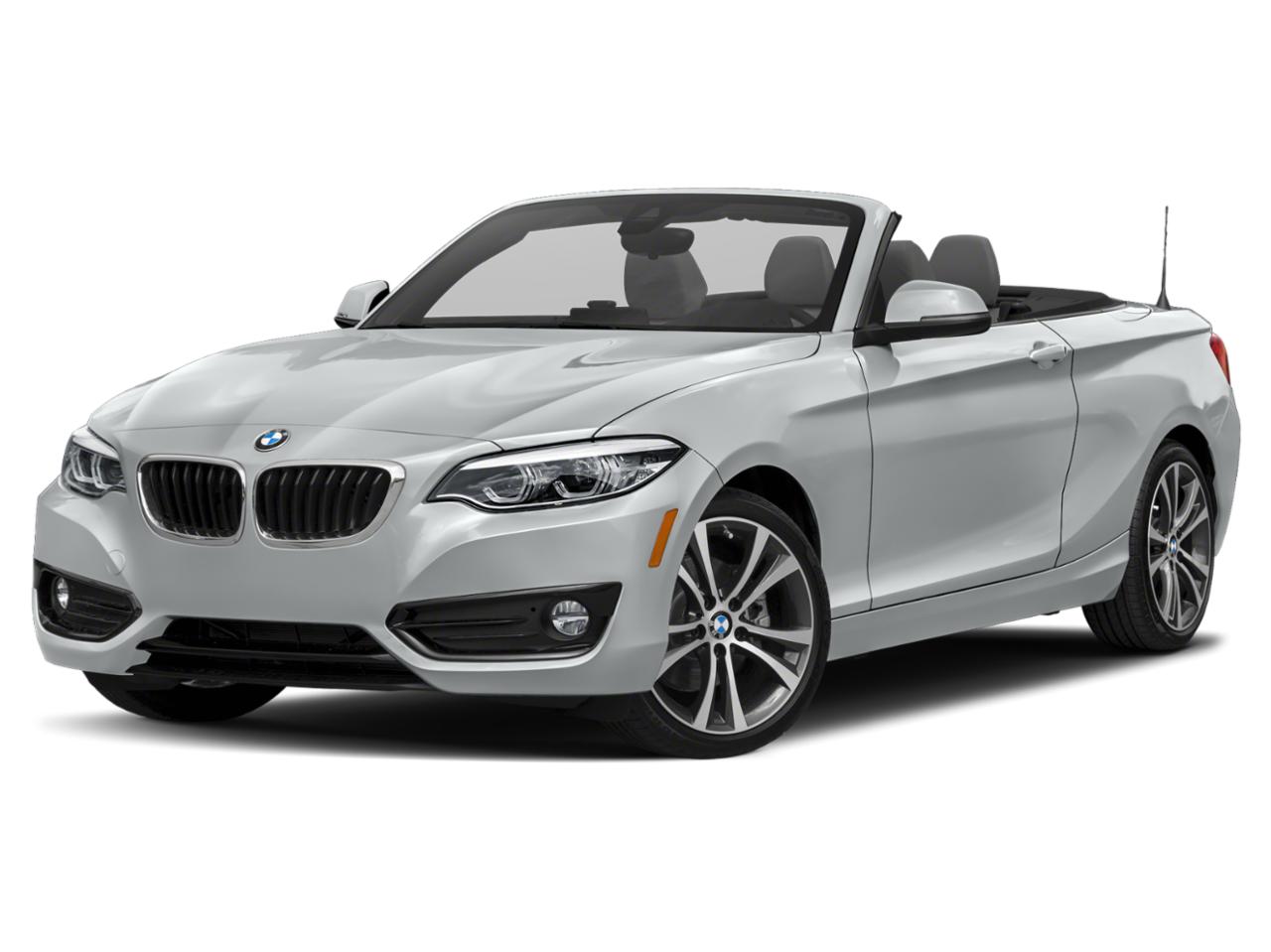 2019 BMW 230i Vehicle Photo in Orlando, FL 32811