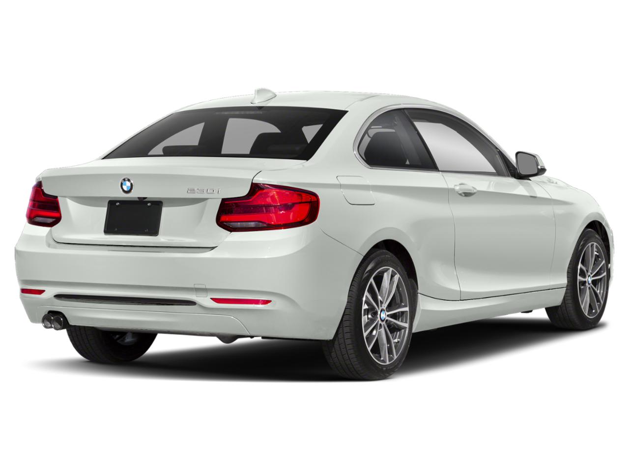 2019 BMW 230i Vehicle Photo in Panama City, FL 32401