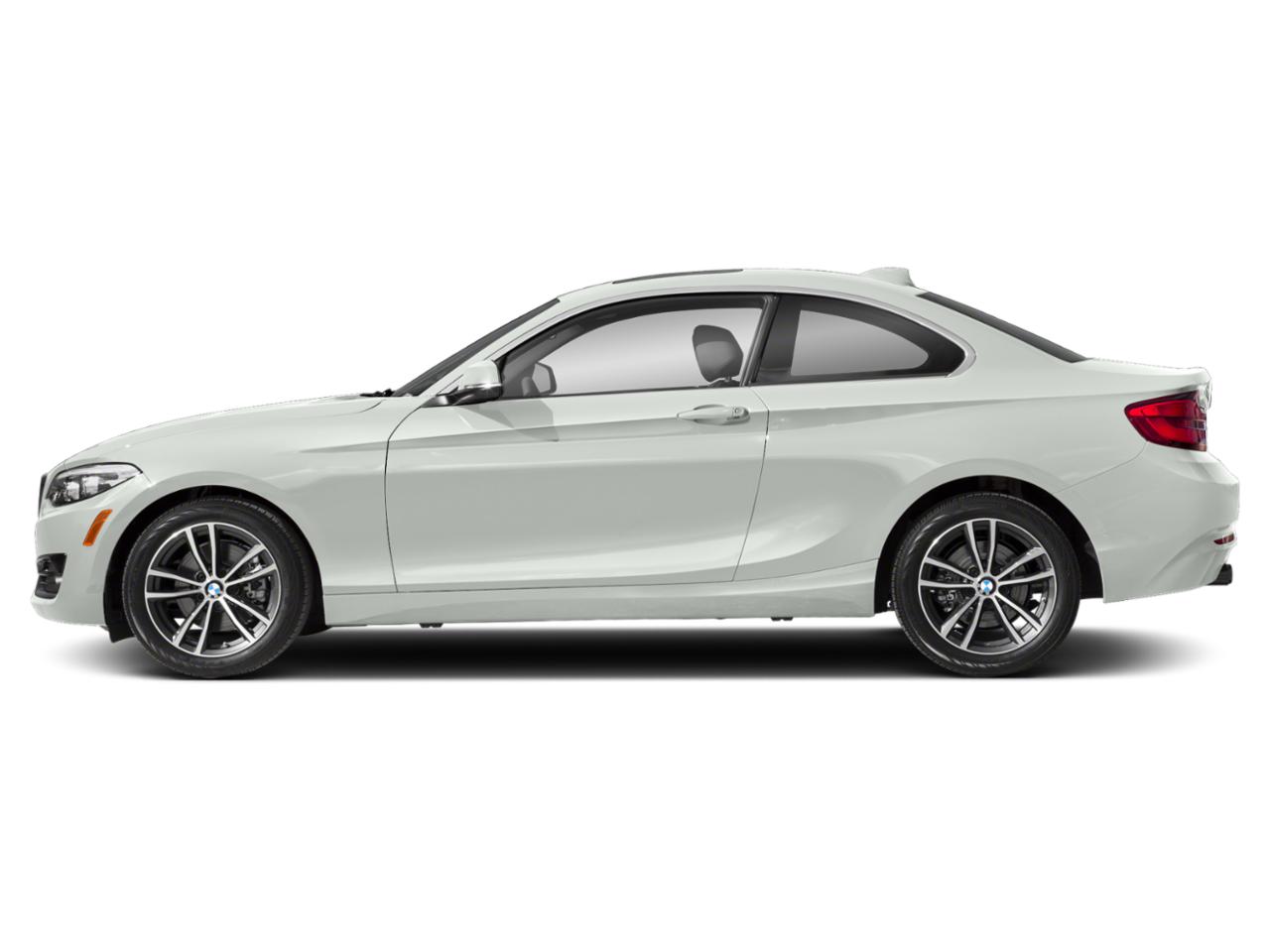 2019 BMW 230i Vehicle Photo in Panama City, FL 32401