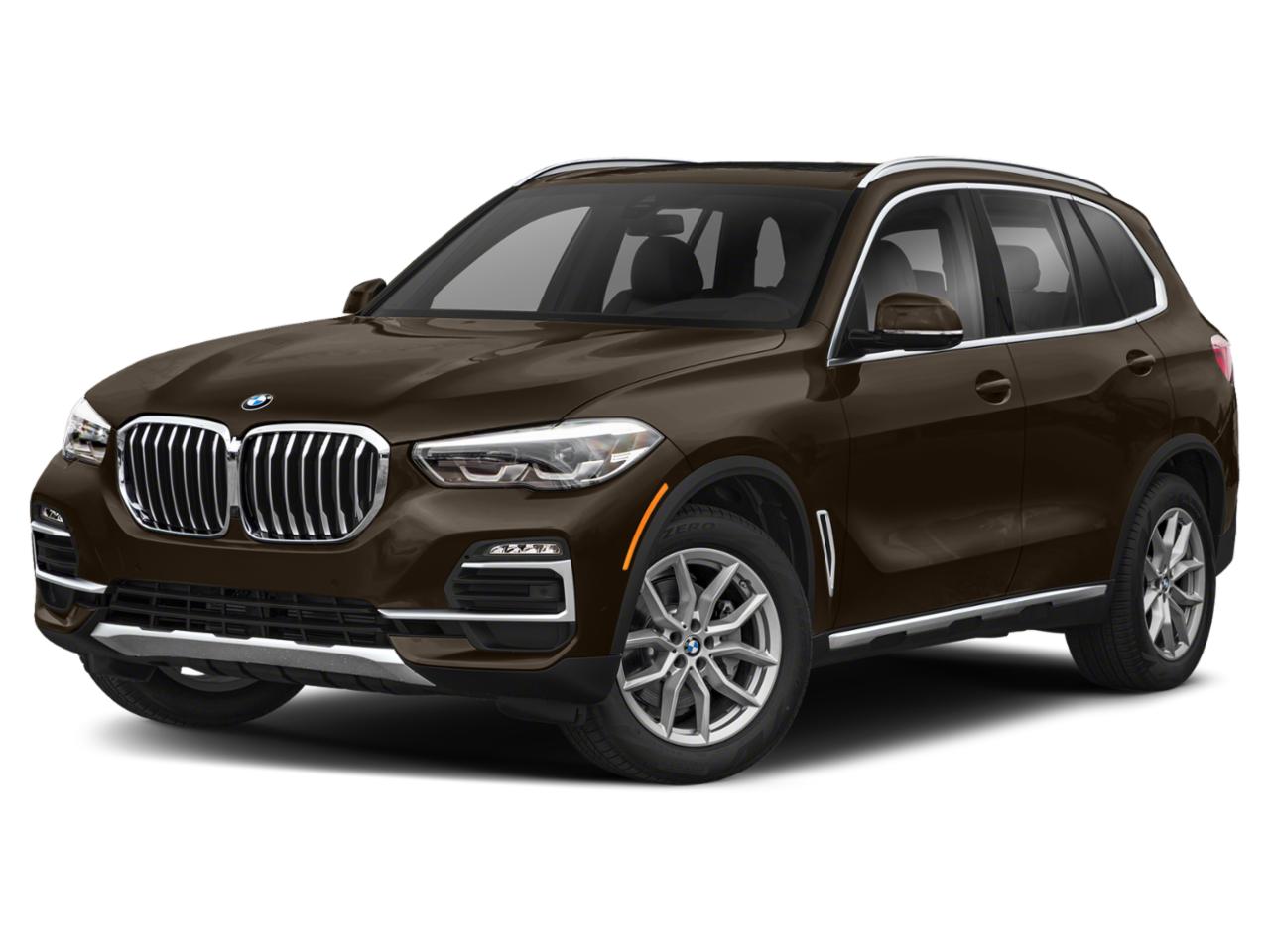 2019 BMW X5 xDrive50i Vehicle Photo in Clearwater, FL 33764