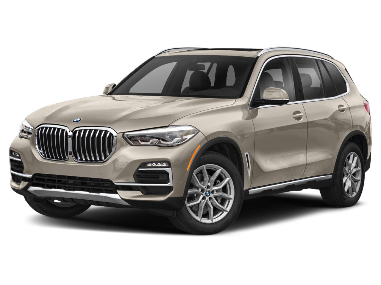 2019 BMW X5 Vehicle Photo in MECHANICSBURG, PA 17050-1707
