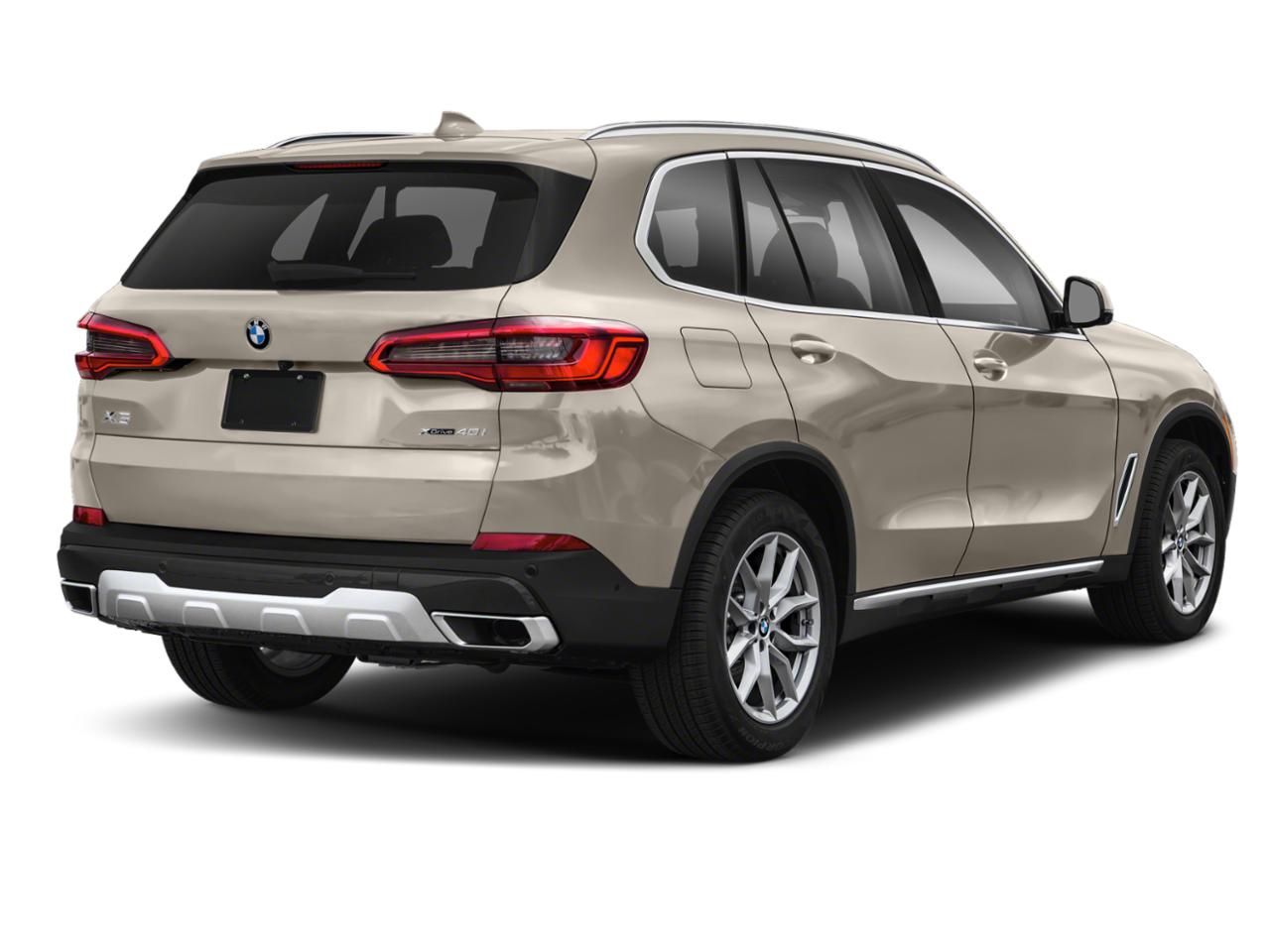 2019 BMW X5 Vehicle Photo in MECHANICSBURG, PA 17050-1707