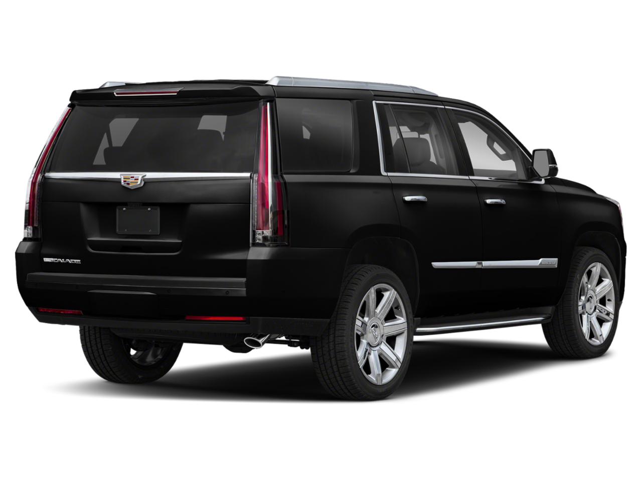 2019 Cadillac Escalade Vehicle Photo in APPLETON, WI 54914-4656