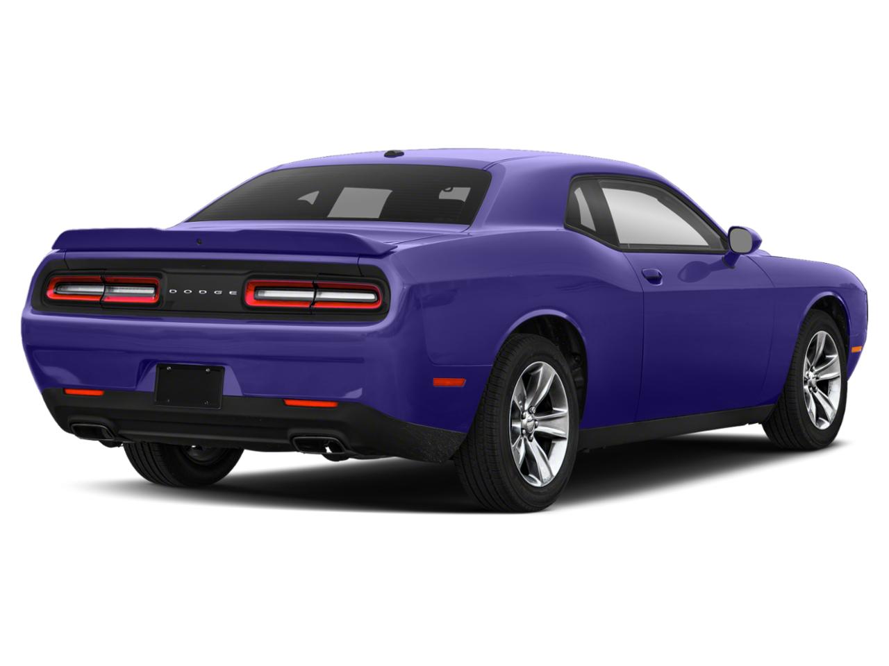 2019 Dodge Challenger Vehicle Photo in CLEARWATER, FL 33764-7163