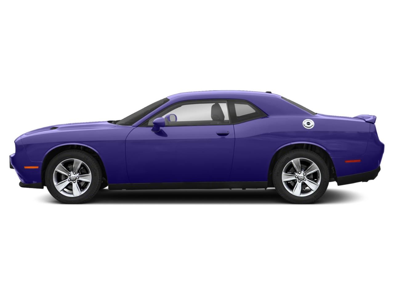 2019 Dodge Challenger Vehicle Photo in CLEARWATER, FL 33764-7163