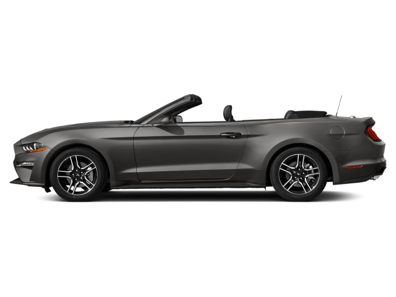 Used 2019 Ford Mustang EcoBoost with VIN 1FATP8UH5K5188629 for sale in Beaufort, SC