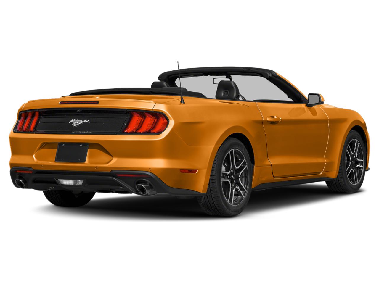 2019 Ford Mustang Vehicle Photo in BEAUFORT, SC 29906-4218