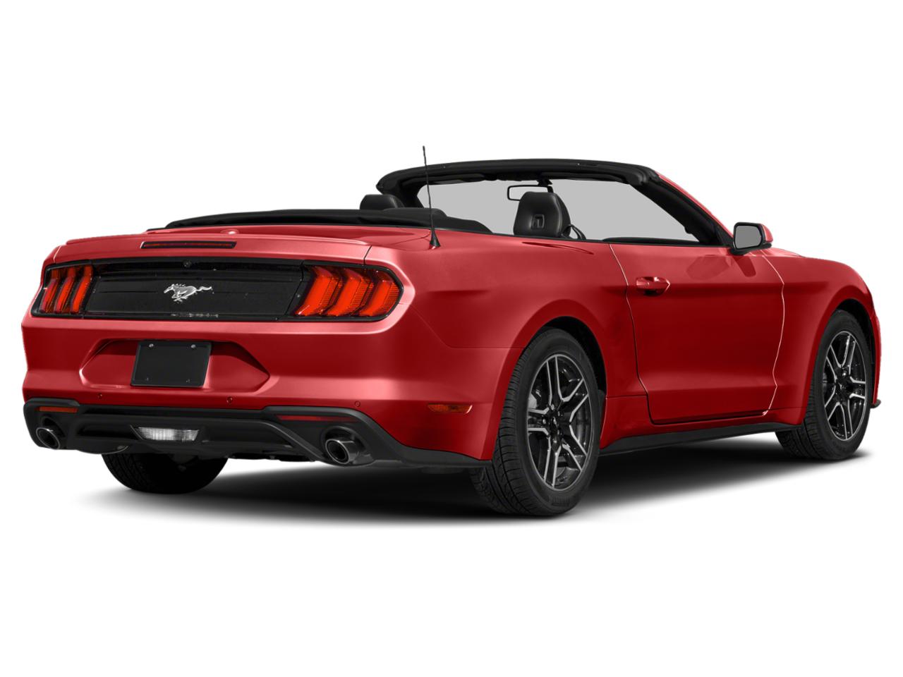 2019 Ford Mustang Vehicle Photo in St. Petersburg, FL 33713