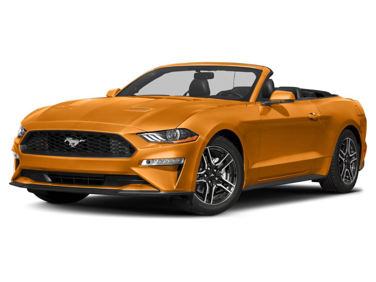 2019 Ford Mustang Vehicle Photo in BEAUFORT, SC 29906-4218