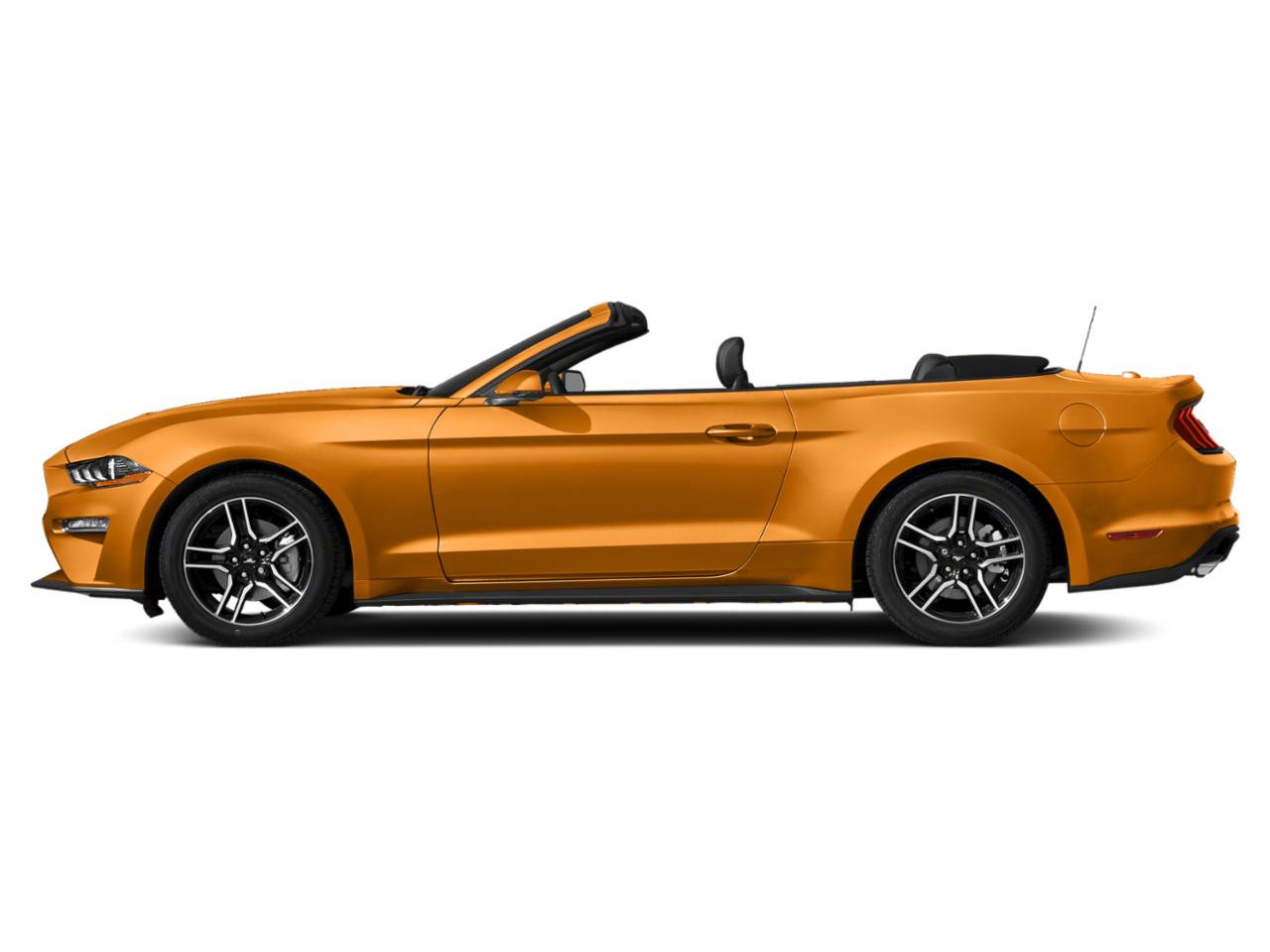 2019 Ford Mustang Vehicle Photo in BEAUFORT, SC 29906-4218
